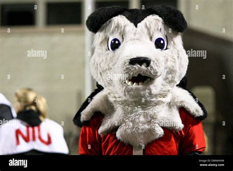 17 October 2009: Northern Illinois mascot during game action. Northern Illinois, of the Mid ...