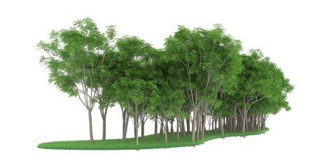 Free Realistic forest isolated on transparent background. 3d rendering ...