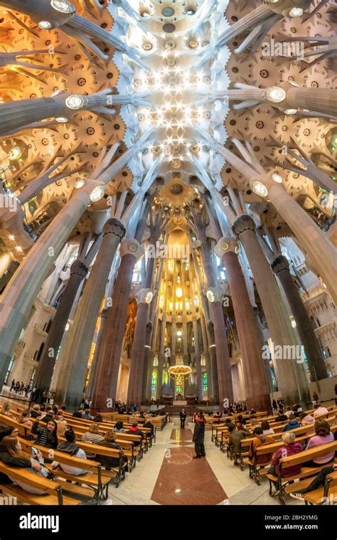 Ceiling In The Sagrada Familia Cathedral By Antoni Gaudi Barcelona