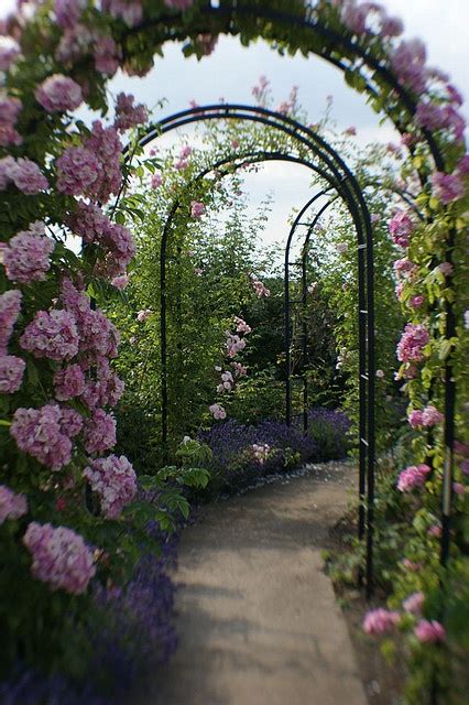 Trellis Path in Secret Garden