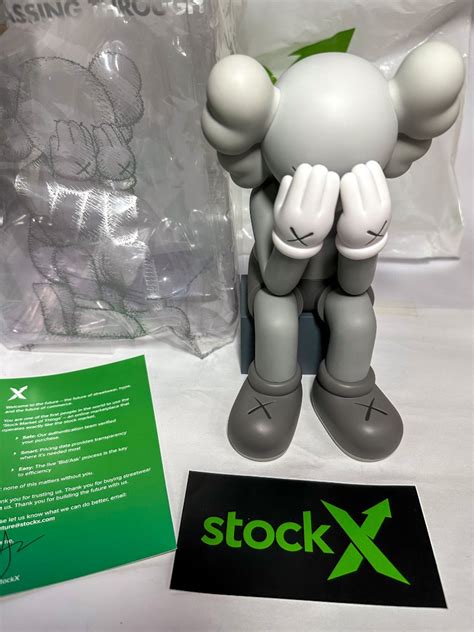 Authentic Kaws Passing Through Open Edition Grey Displayed Hobbies