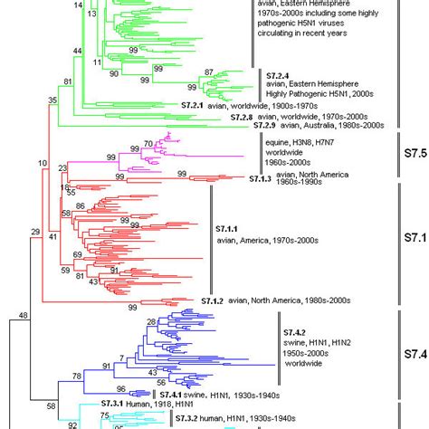 The Panorama Phylogenetic Tree Of Type A Influenza Virus Based On The