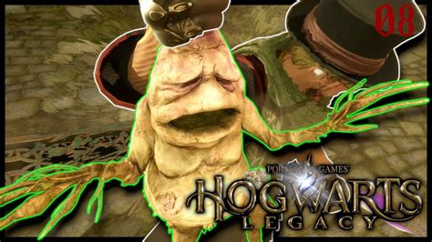 Hogwarts Legacy Kr Uterkunde Mit Alraunen Deutsch German Let S