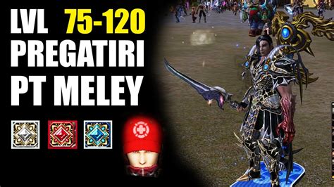 METIN2 RO Carpathians PREGATIRI Pentru MELEY Lvl Up 75 120