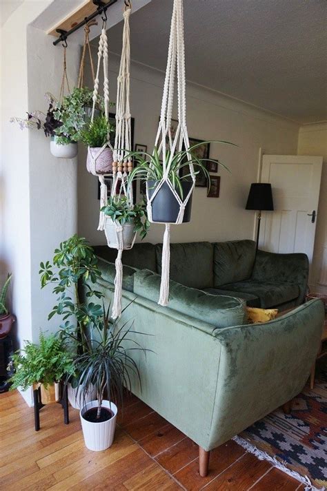 Bedroom Modern Hanging Plants - Modern Furniture Images