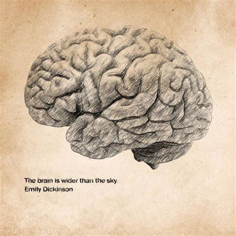 The Brain Is Wider Than The Sky Poster By Hoolst Design Brain Artwork