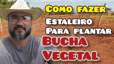 Como Fazer Estaleiro Para Plantar Bucha Vegetal Gigante Youtube