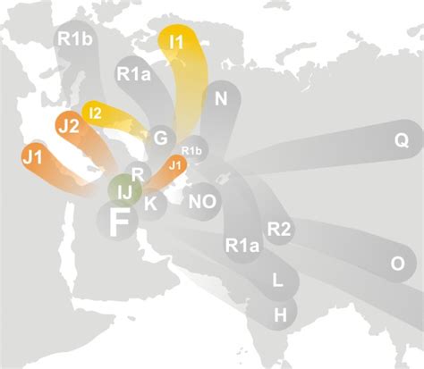 Y Dna Haplogroup J2 Ancient Y Dna Discussion No J2a In Pre Bronze