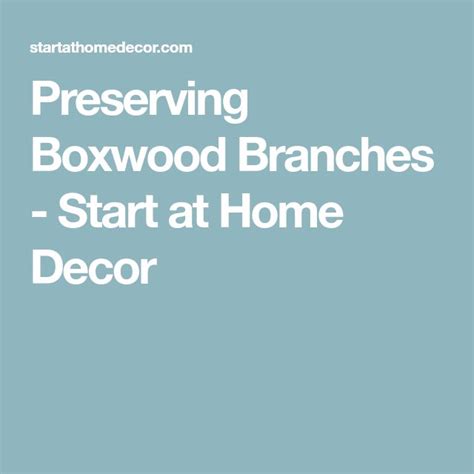 Preserve And Make A Boxwood Wreath On A Budget Cute Wall Decor