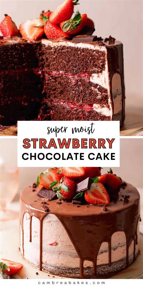 Chocolate Strawberry Cake Artofit