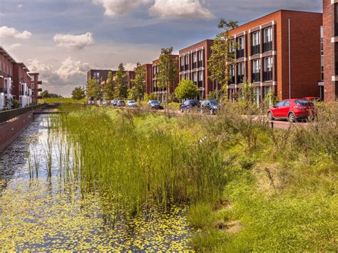 Wetlands Identification vs. Delineation - DFM Development Services