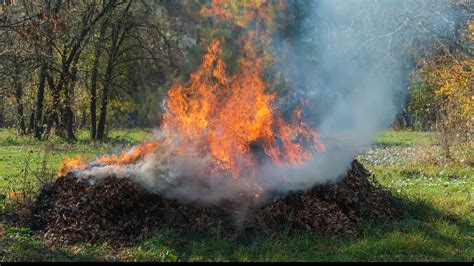 South Carolina Forestry Commission Warns About Outdoor Burning Wltx