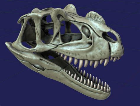 Ceratosaurus Skull Process 11 by Strick67 on DeviantArt