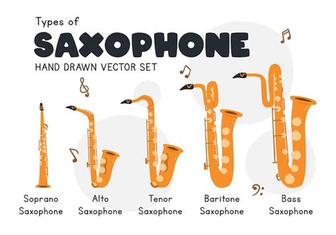 Premium Vector | Types of saxophone clipart cartoon. soprano, alto, tenor, baritone, bass ...