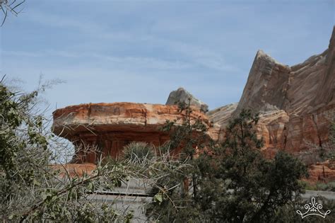 Lands In Pictures: Cars Land - Duchess of Disneyland