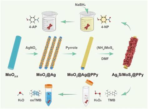 将 Ag2s 纳米颗粒和 Mos2 纳米片连接在聚吡咯纳米管上，增强催化性能inorganic Chemistry X Mol