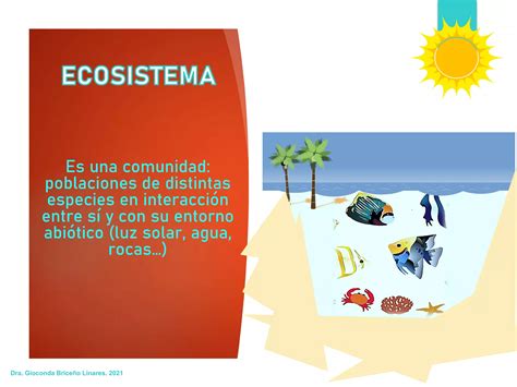 Propiedades Emergentes De Los Ecosistemas Y Bioacumulacion PPT