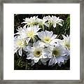 White Cactus Flowers Photograph By Irit O Fridman Fine Art America