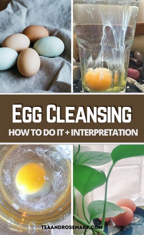 egg cleaning how to do it and interpretation