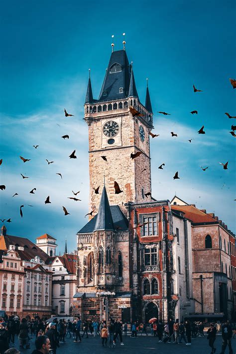 Download Birds Over Prague Czech Republic Wallpaper | Wallpapers.com