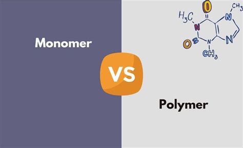 Monomer Vs Polymer Whats The Difference With Table Diffzy