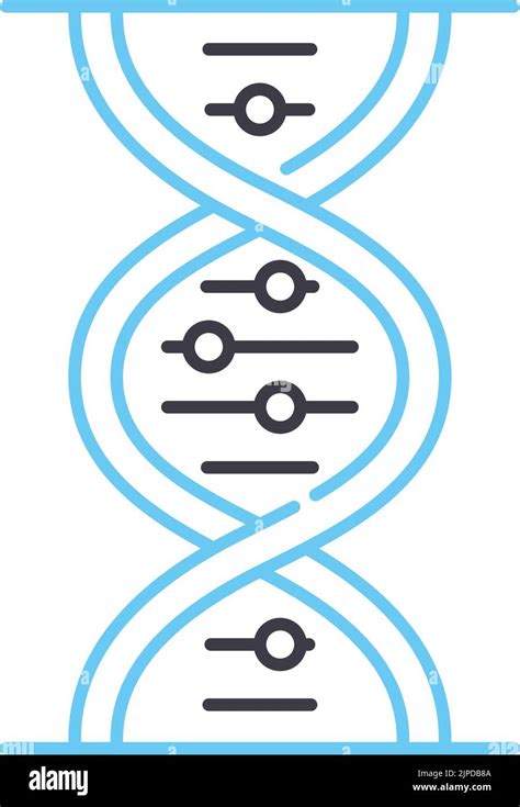 Genetic Dna Line Icon Outline Symbol Vector Illustration Concept