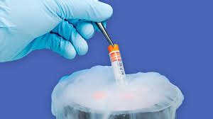 Cell Cryopreservation Is Used To Maintain Cell Viability B Flickr