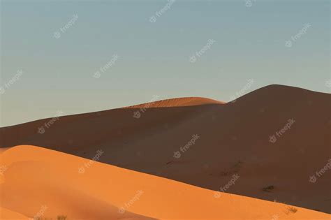 Premium Photo Sand Dune Deserts In Arid Sahara Dunes Alone Orange