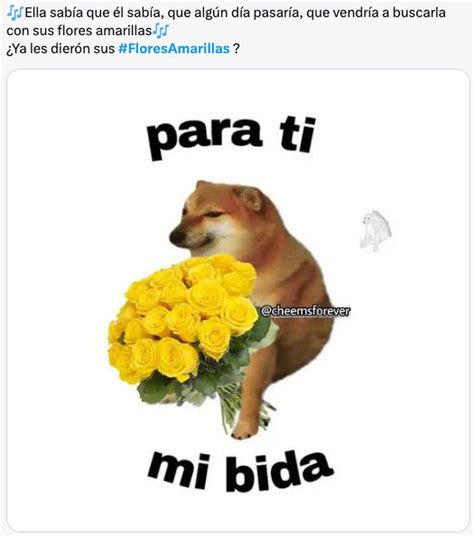 Los Memes De Flores Amarillas Hoy 21 De Septiembre Le Dan Esperanza A