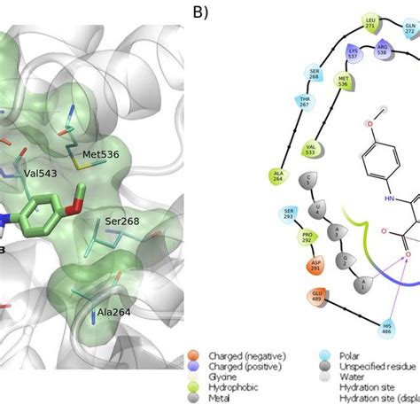 Predicted Intermolecular Interactions Between FAM E3 And The RNA