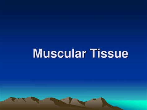 Ppt Muscular Tissue Powerpoint Presentation Free Download Id 4558660