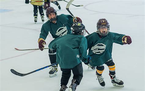 Programs Warrior Ice Arena