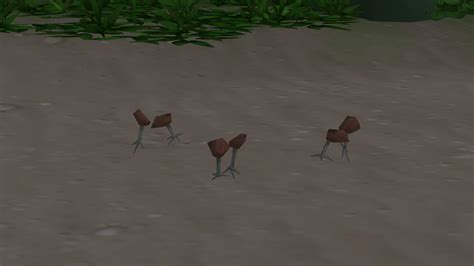 Ah yes, such nice birds : r/Sims4