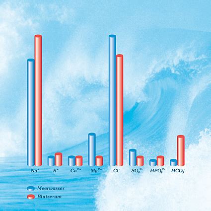 Warum Meerwasser Meerwasser Kosmetik Franziska Teebken Gmbh