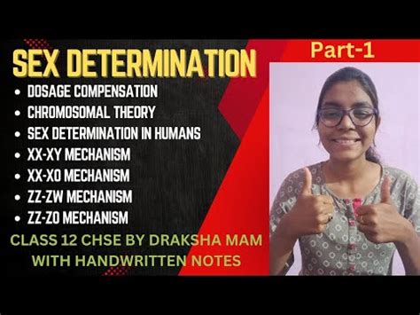 SEX DETERMINATION Part 1 Chromosomal Theory Sex Determination In