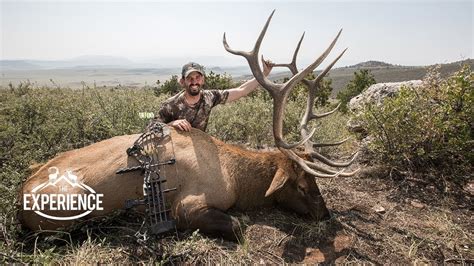 Colorado Archery Elk Hunting Experience With Mark Peterson Youtube