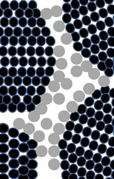 Schematic Representation Of Two Dimensional Representation Of