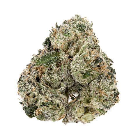 Lemon Cherry Gelato Seeds - Sooner Products