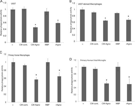 Neuroimmune Regulation Of Jc Virus By Intracellular And Extracellular