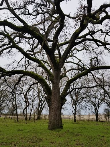 Nature Preserve «Oroville Wildlife Area», reviews and photos, 945 Oro ...