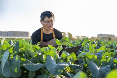 14,200+ China Agriculture Technology Stock Photos, Pictures & Royalty ...