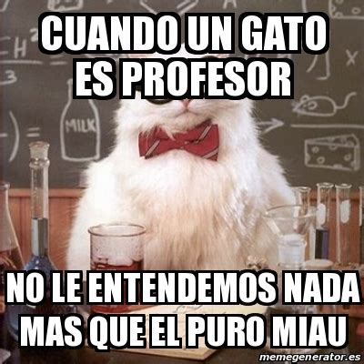 Meme Chemistry Cat Cuando Un Gato Es Profesor No Le Entendemos Nada