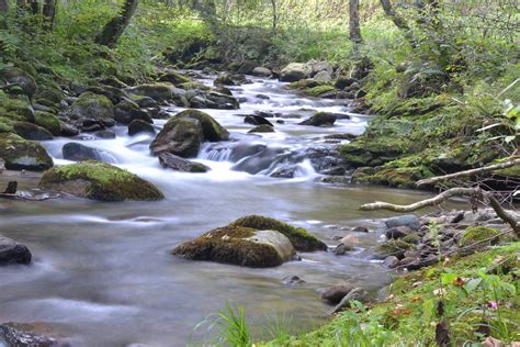 Potok Lobnica Lobnica Creek Rimarcek Flickr