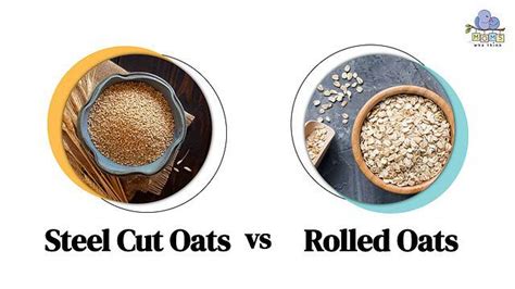 Steel Cut Vs Rolled Oats Full Health Comparison And Taste Differences