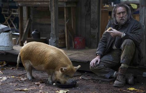 Nicolas Cage Reveals His Favorite Film Among 120 Roles: The One with