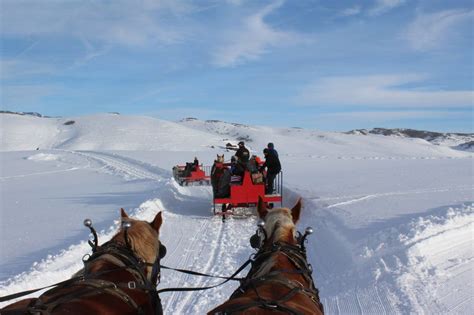 Saddleback Ranch Sleigh Rides Steamboat Springs Sleigh Ride