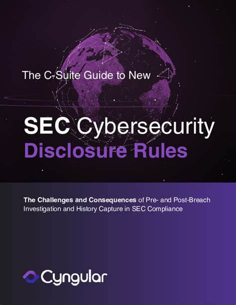 The C Suite Guide To New Sec Cybersecurity Disclosure Rules