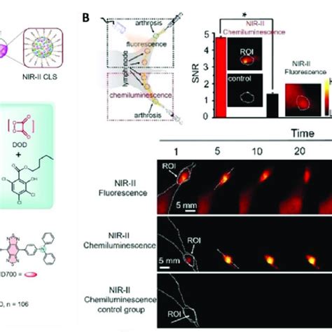 A Schematic Illustration Of The Preparation Method For Nir Ii Cls