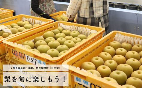 梨の名産地はどこ？なぜ有名？美味しい梨を産む秘密に迫る！ 福島名産 梨 【公式】jaふくしま未来のお取り寄せギフト通販