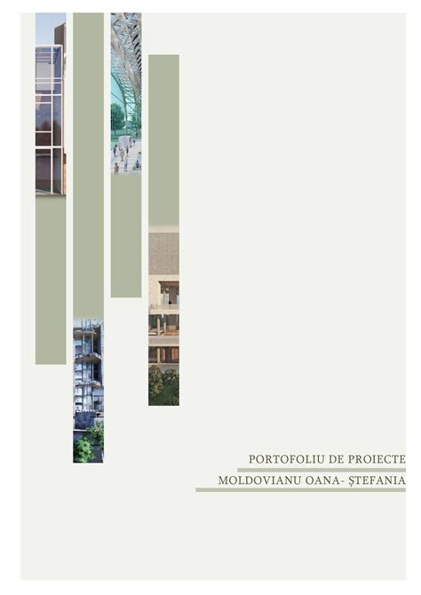 Portofoliu Proiecte Moldovianu Oana By Oanamoldovianu Issuu